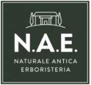 N.A.E Logo